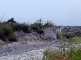 Vulkanasche, Pinatubo