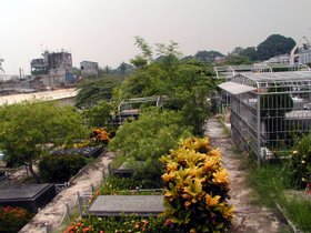 Gräber für Mittelklasse-Chinesen