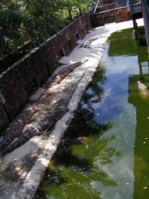 Zukünftige Handtaschen