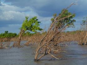 Mekong bei Kratie