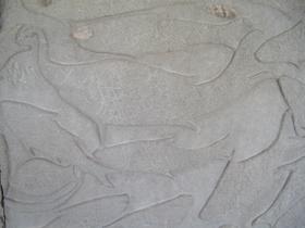 Milchozean: Meerestiere