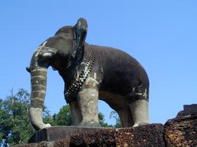 Elefant