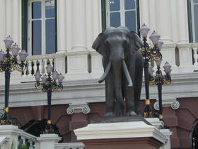 Elefant